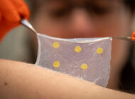 Wound Dressing Detects Infection, Changes Color