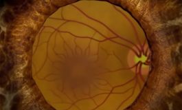 Bioprinted Eye Tissue to Study Retinal Diseases