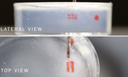 Voxel-Based Technique to Streamline Bioprinting