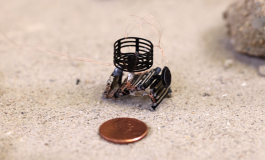 One-Step Manufactured Meta-Bots with Medical Potential